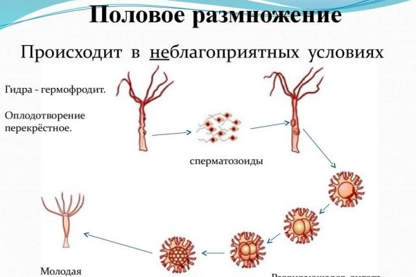 Кракен онлайн магазин