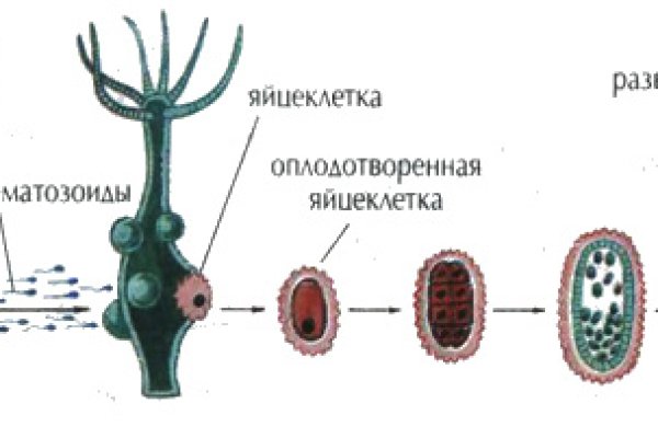 Войти на кракен