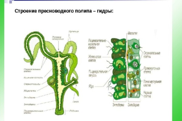 Кракен как войти