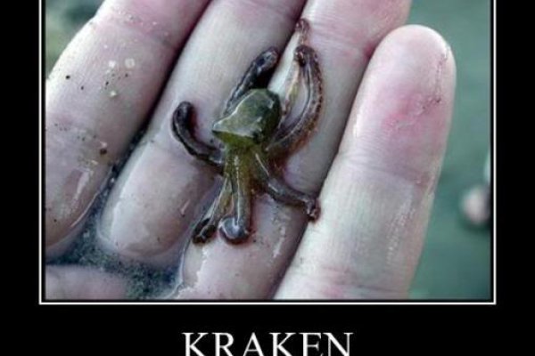 Модератор на кракене