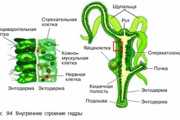 Кракен 16